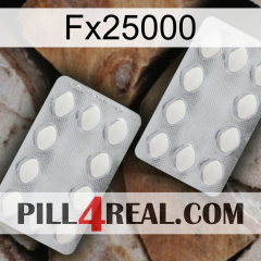 Fx25000 17
